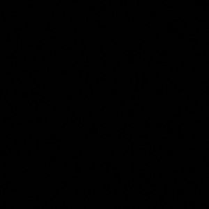 Meet your Posher, Nelvie